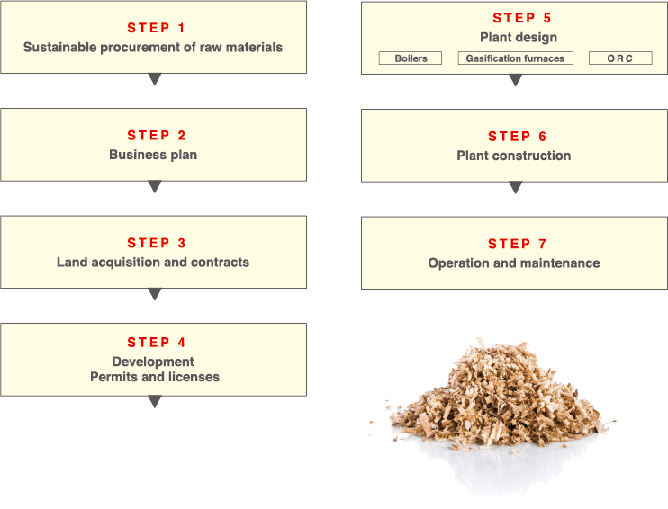 Business Scheme for Wood Biomass Power Generation