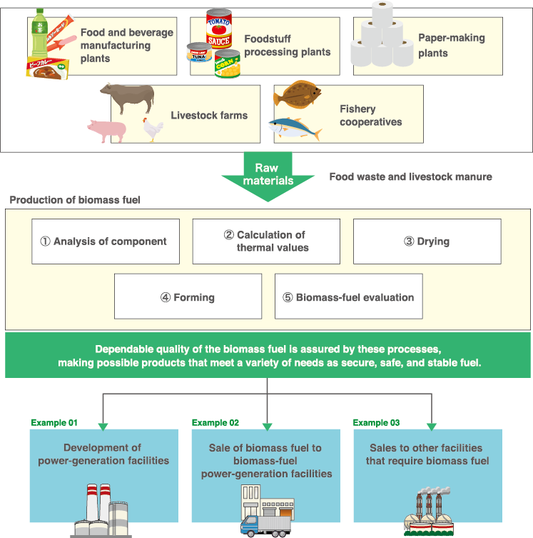 Scheme of Biomass Operations